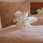 Blasers Restaurant Chocolat Hotel Frutigen