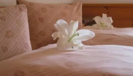 Blasers Restaurant Chocolat Hotell Frutigen