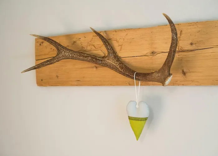 Blasers Restaurant Chocolat Frutigen